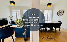 Le Choiseul - T5 Entre Loire Et Chateau Royal - Manoir De La Concorde